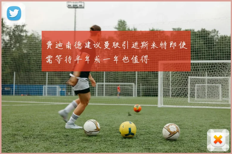 费迪南德建议曼联引进斯米特即使需等待半年或一年也值得