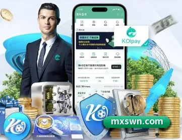 半岛网页 APP